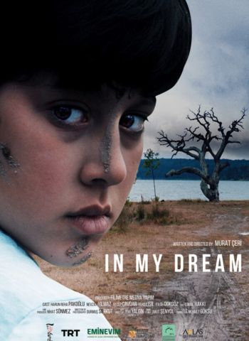 In my dream