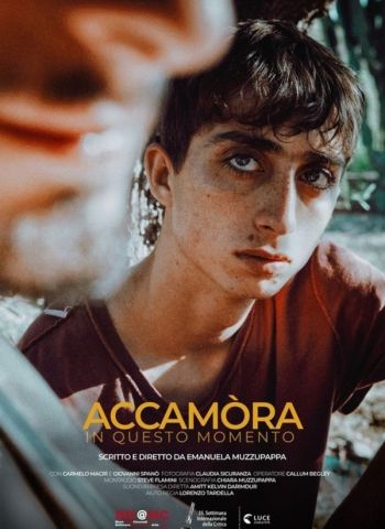 Accamòra